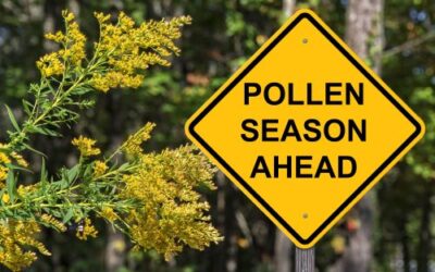 How to Keep Pollen Season from Destroying Your Outdoor Space