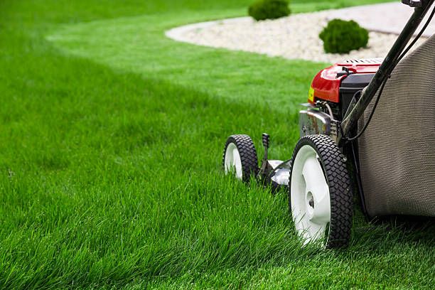 The Importance of Proper Lawn Equipment Maintenance