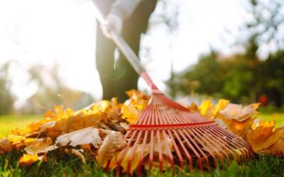 Fall Cleanup Checklist for Virginia Lawns